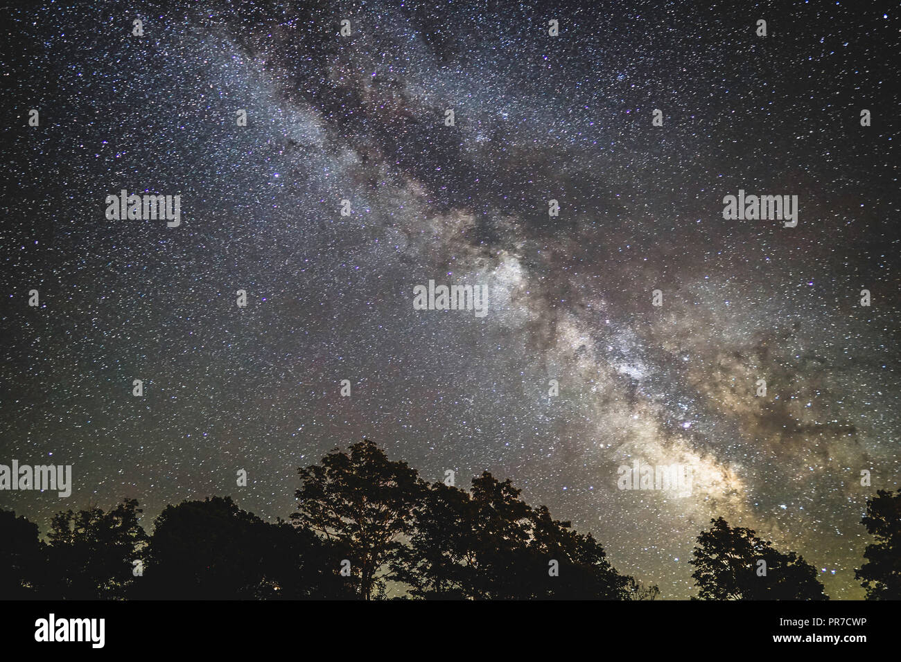 Cielo notturno (Via Lattea) a Cherry Springs State Park, PA Foto Stock