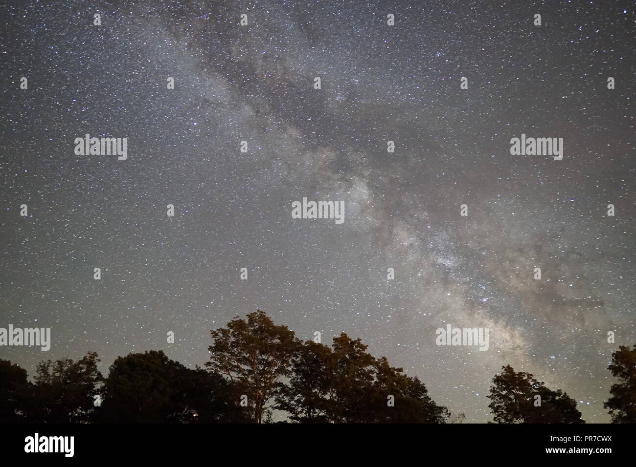 Cielo notturno (Via Lattea) a Cherry Springs State Park, PA Foto Stock