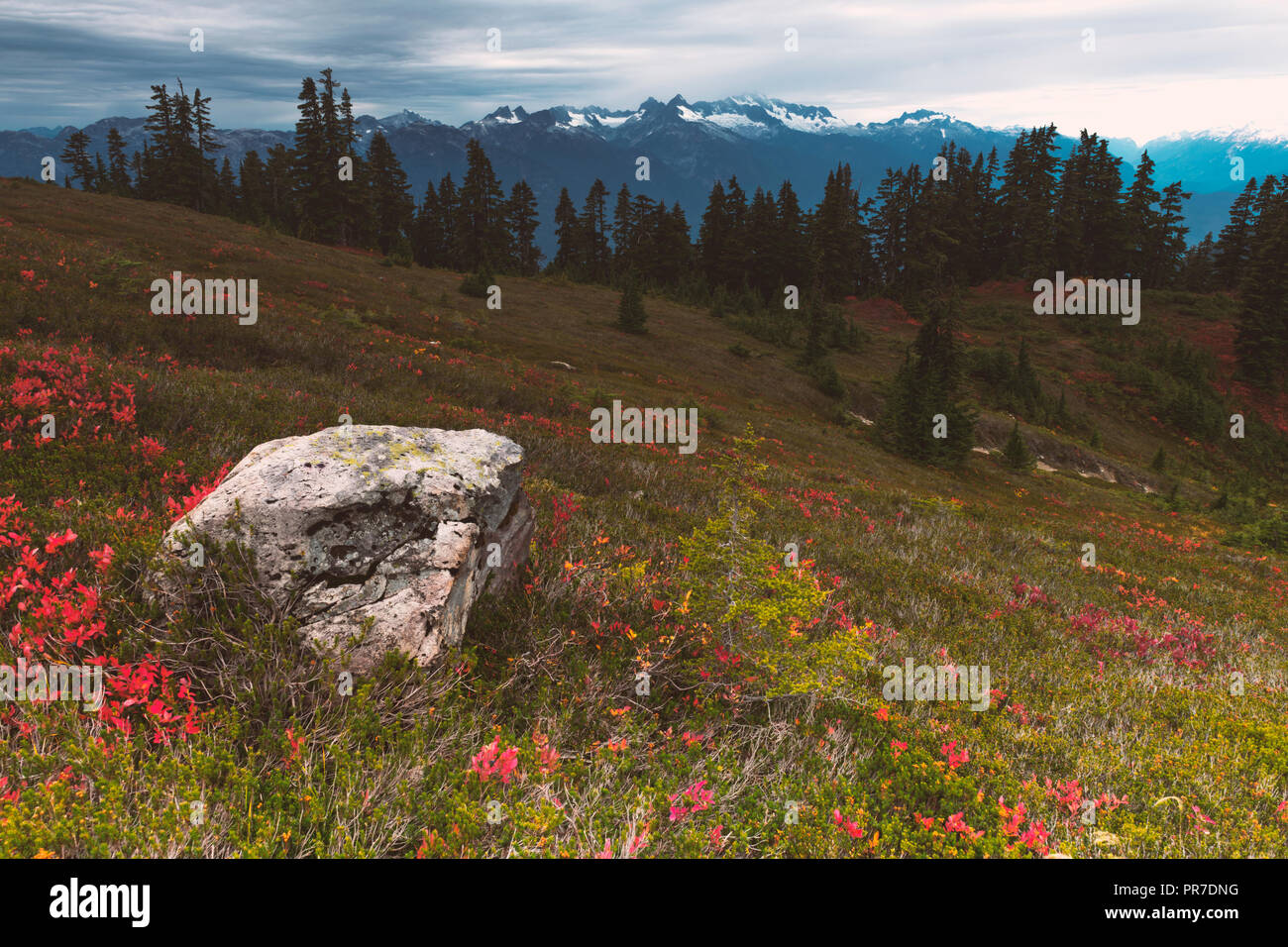 Il pittoresco paesaggio di laghi Foliatile Trail in Whistler BC Canada. Foto Stock