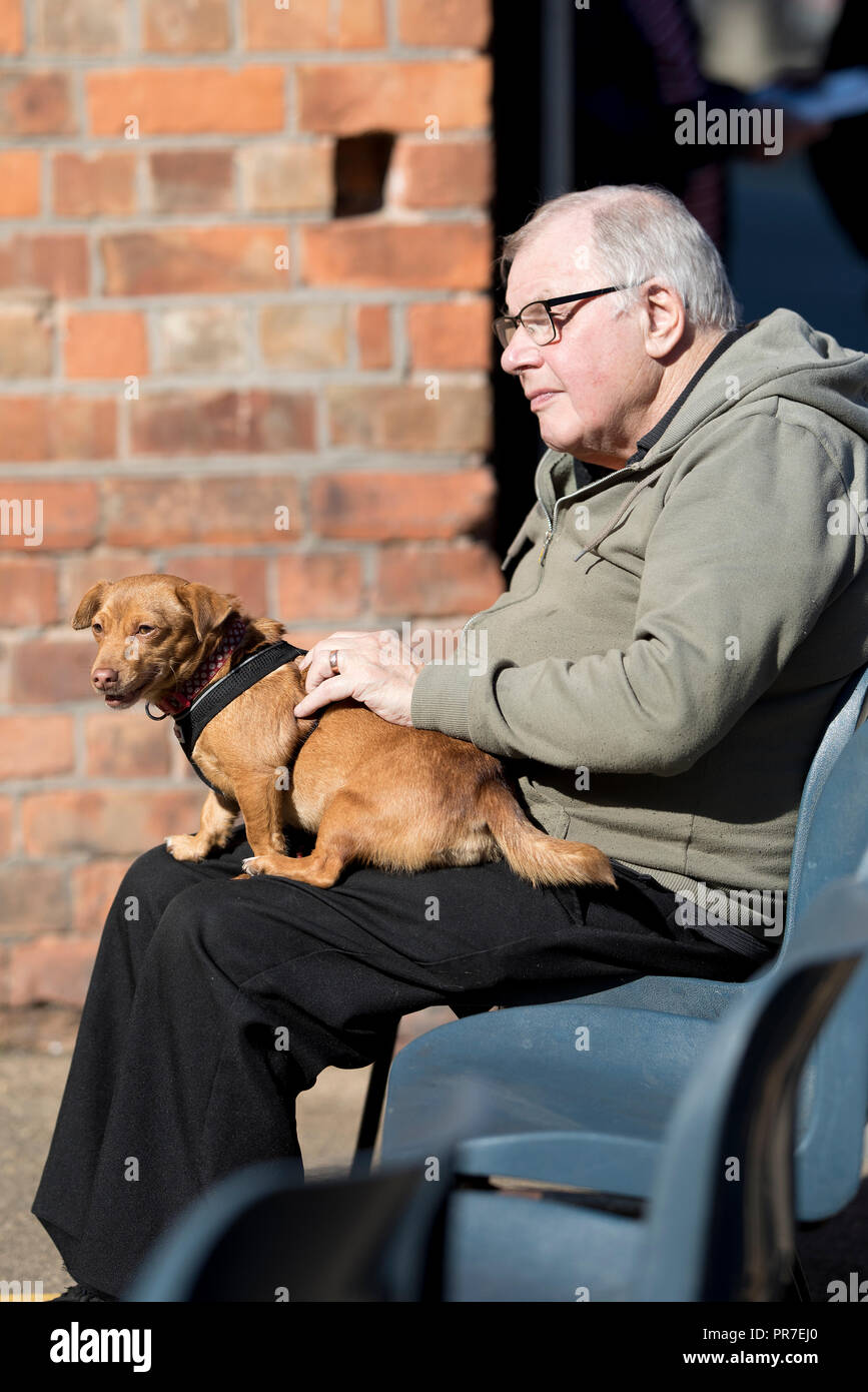 Gentiluomo con un piccolo cane sul suo giro ascolto musica a Welshpool 1940s Weekend 2018 Foto Stock