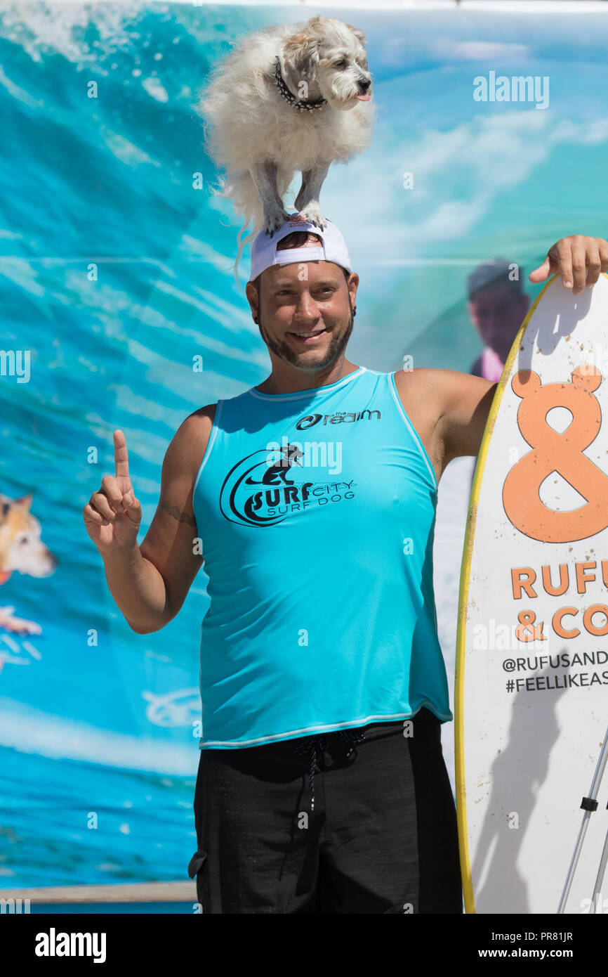 Huntington Beach, CA ,USA.Il 29 settembre 2018 dog beach è stata la posizione per la McKenna Subaru Surf City Surf Dog® caso in cui migliori posti del mondo per il surf cani hanno gareggiato per abbaiare diritti, trofei e premi in decimo annuale Città Surf Surf Dog® la concorrenza. Il principe Dudeman waitsfor la finale per avviare si fermò sulla sua testa di proprietari di credito: Duncan Selby/Alamy Live News Foto Stock