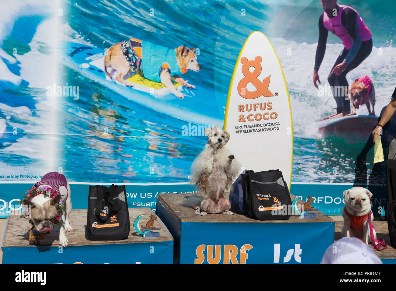 Huntington Beach, CA ,USA.Il 29 settembre 2018 dog beach è stata la posizione per la McKenna Subaru Surf City Surf Dog® caso in cui migliori posti del mondo per il surf cani hanno gareggiato per abbaiare diritti, trofei e premi in decimo annuale Città Surf Surf Dog® la concorrenza. Il principe Dudeman festeggia il primo posto nel proprietario del cane di credito finale: Duncan Selby/Alamy Live News Foto Stock