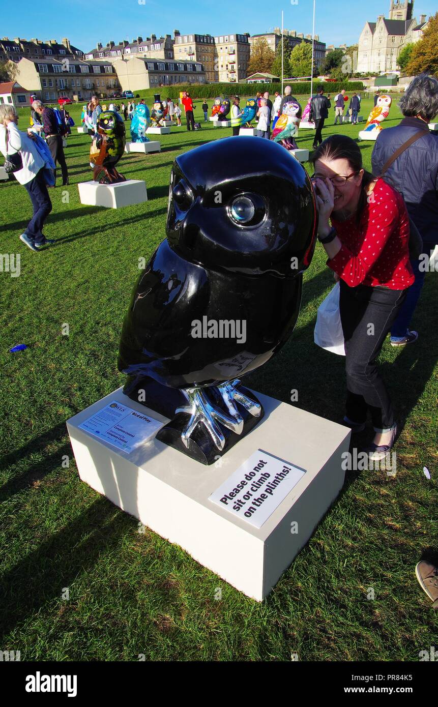 Birmingham, Regno Unito. 29 settembre 2018. Di Minerva gufi del bagno anteprima di aste si è tenuta sul bagno di massa di ricreazione 29 settembre 2018. La Minverva gufi del bagno è un grande arte pubblica del sentiero delle sculture con oltre 80 individualmente decorate di dimensioni super owl sculture.. Tutti i 82 gufi che figuravano sul sentiero sono state sul display all'Hoot addio weekend. Credito: Haydn Wheeler/Alamy Live News Foto Stock