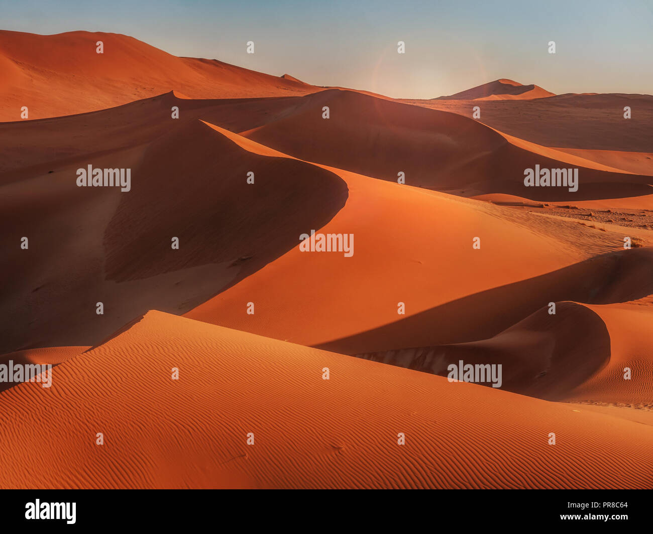 Il sorgere del sole sopra le curve, le linee e le ombre delle dune di sabbia rossa del deserto del Namib, Namibia. Foto Stock