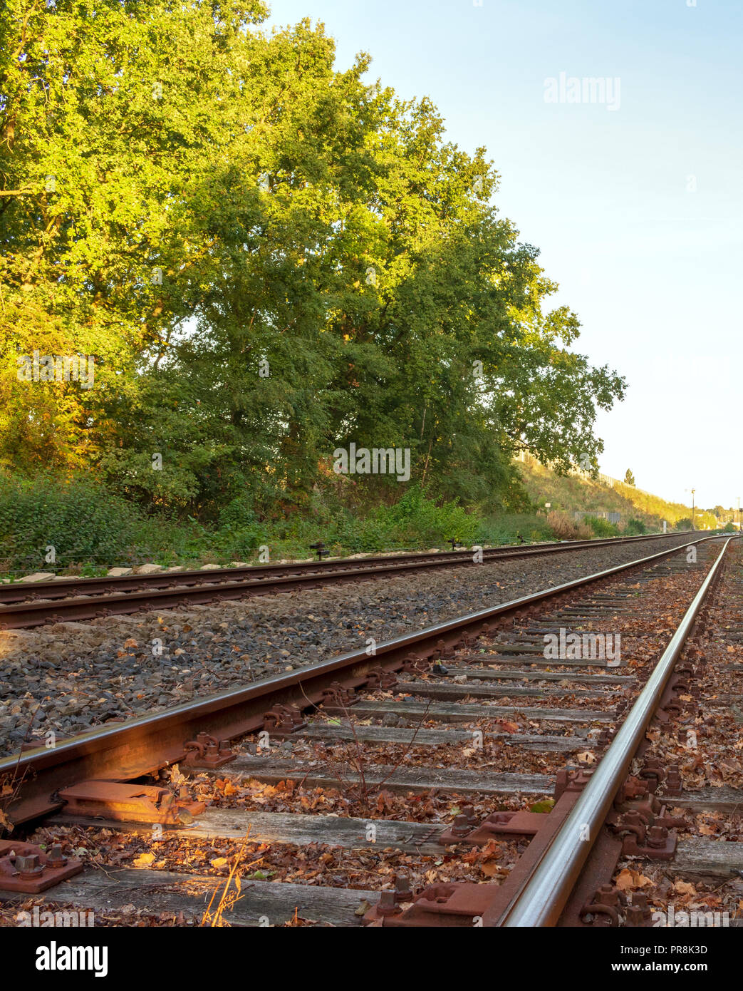 Binario ferroviario annientandola Posizione: in Germania, in Renania settentrionale-Vestfalia Foto Stock