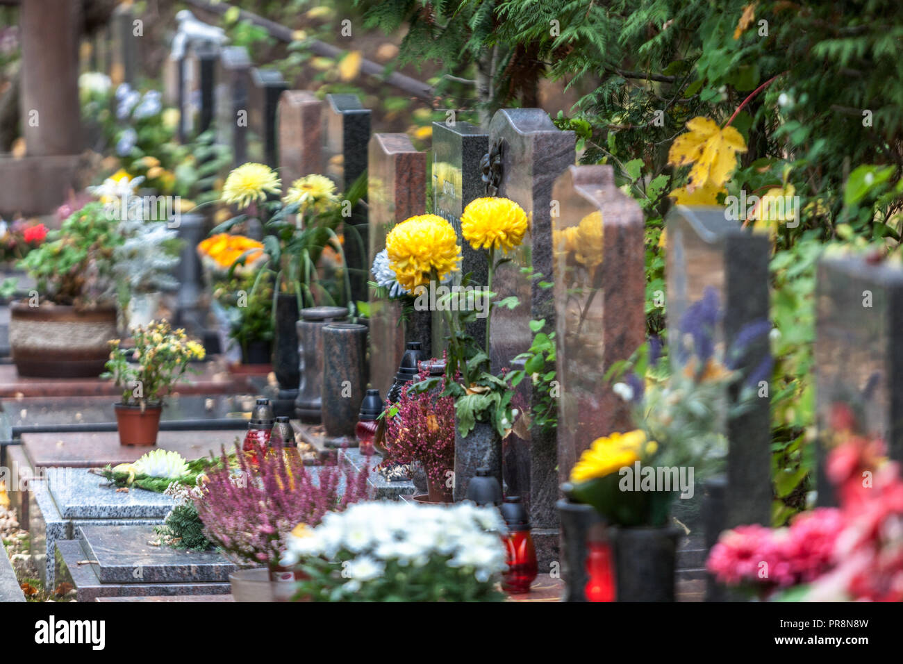 Decorazione floreale di tombe in All Saints' Day, Repubblica Ceca tutta l'Europa dei giorni dell'anima Foto Stock