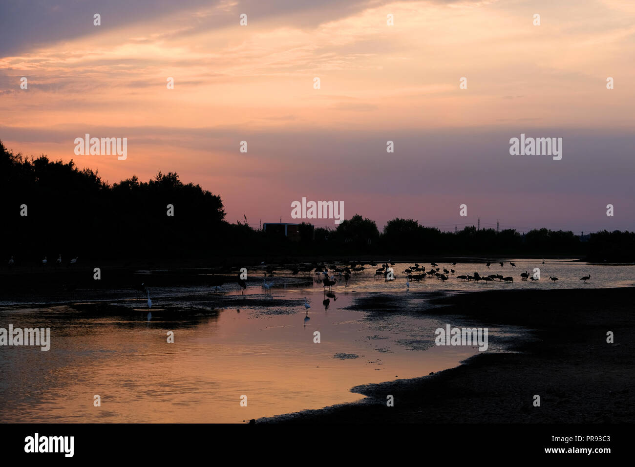 Un lago al tramonto Foto Stock