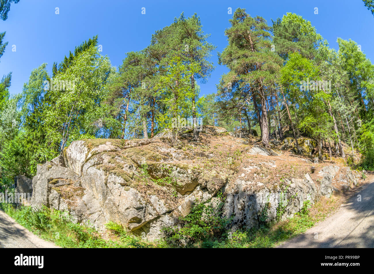 Pieno di sole estivo itinerari di trekking nella foresta di Oslo kommune. Foto Stock