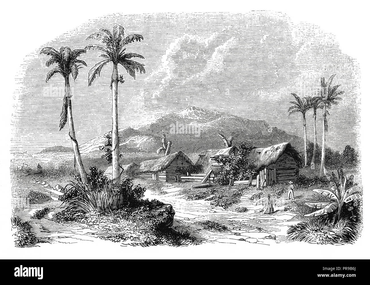 Xix secolo illustrazione del paesaggio della Guadalupa, da Fontenay. Illustrazione originale pubblicato in Le magasin pittoresco da M. A. Lachevardiere, Pari Foto Stock
