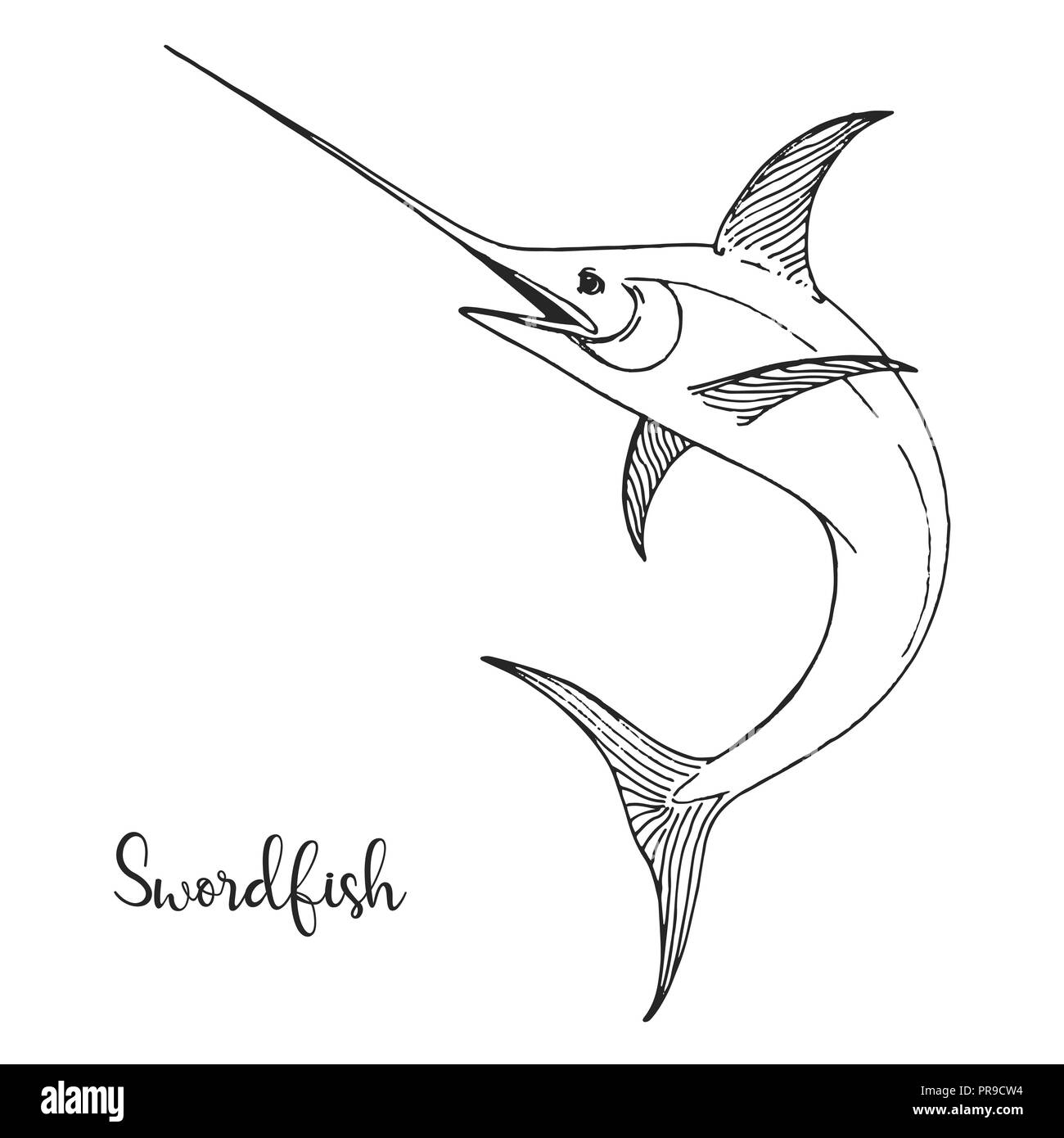Disegnata a mano il pesce spada. Illustrazione Vettoriale in stile di  disegno Immagine e Vettoriale - Alamy