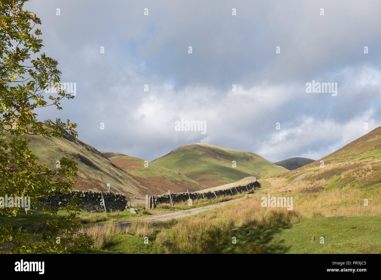 Vista del paesaggio nei pressi del villaggio di Durisdeer nel sud-ovest della Scozia. Foto Stock