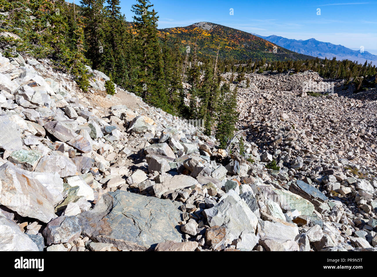 Vista dalla Bristlecone Trail nel Parco nazionale Great Basin Foto Stock