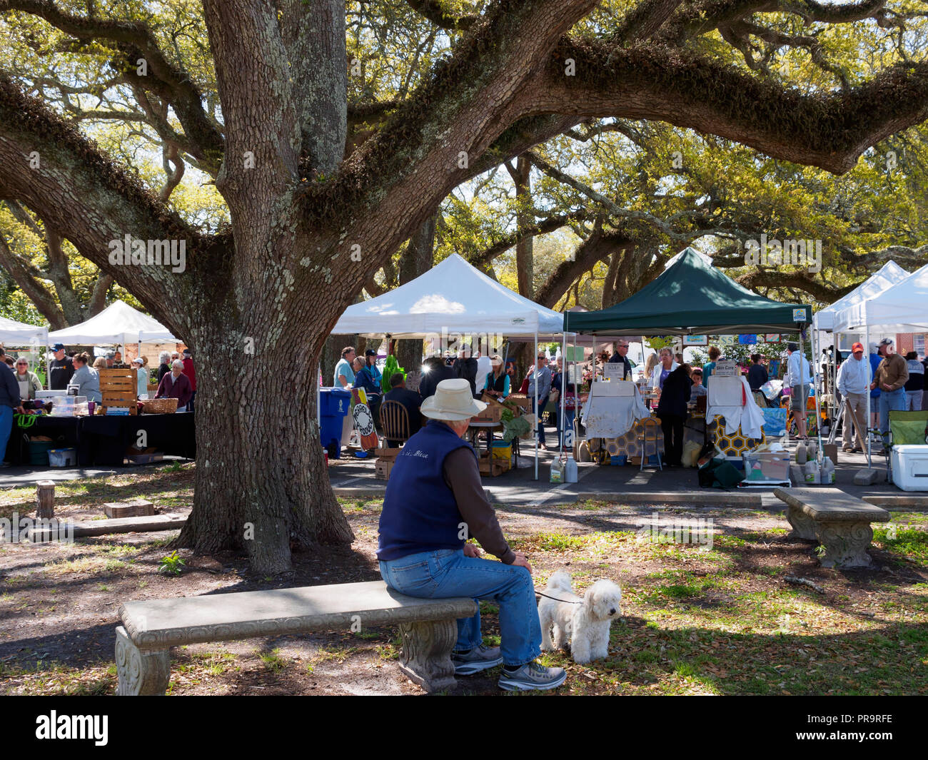 Olde Beaufort Farmers Market, Carolina del Nord Foto Stock