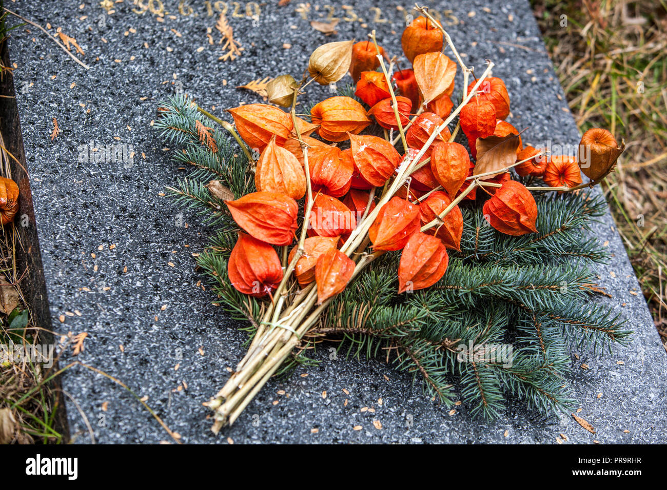 Fiori secchi, lanterna cinese Physalis decorazione floreale di tombe in tutti i Santi 'giorno, Repubblica Ceca Foto Stock