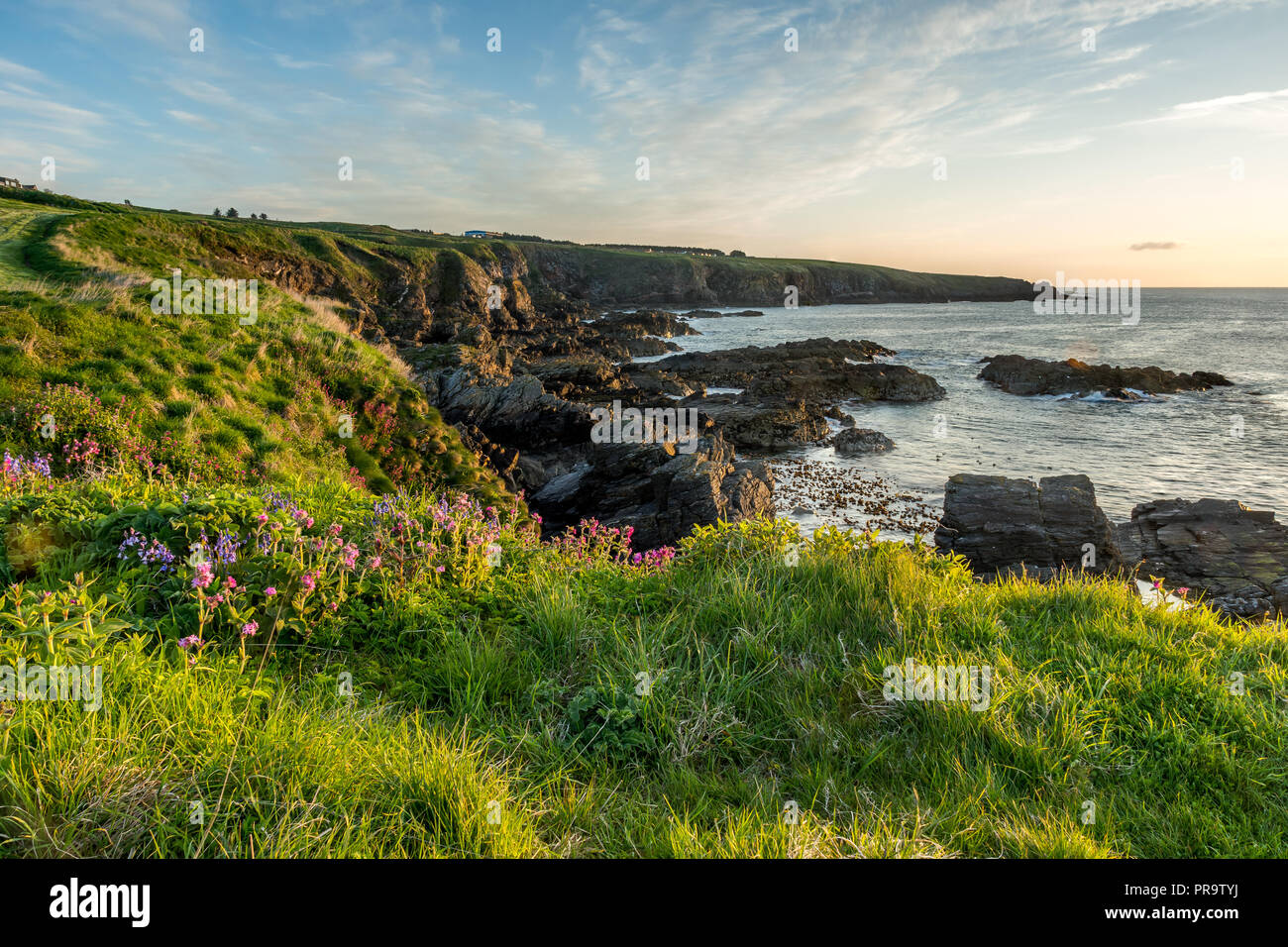 Il Cove costa, Aberdeen Aberdeenshire. Foto Stock