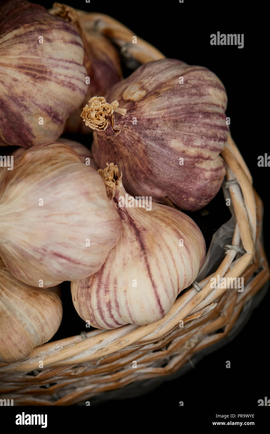 Aglio - Viola Wight a Tatton Park Flower Show 2018 Foto Stock