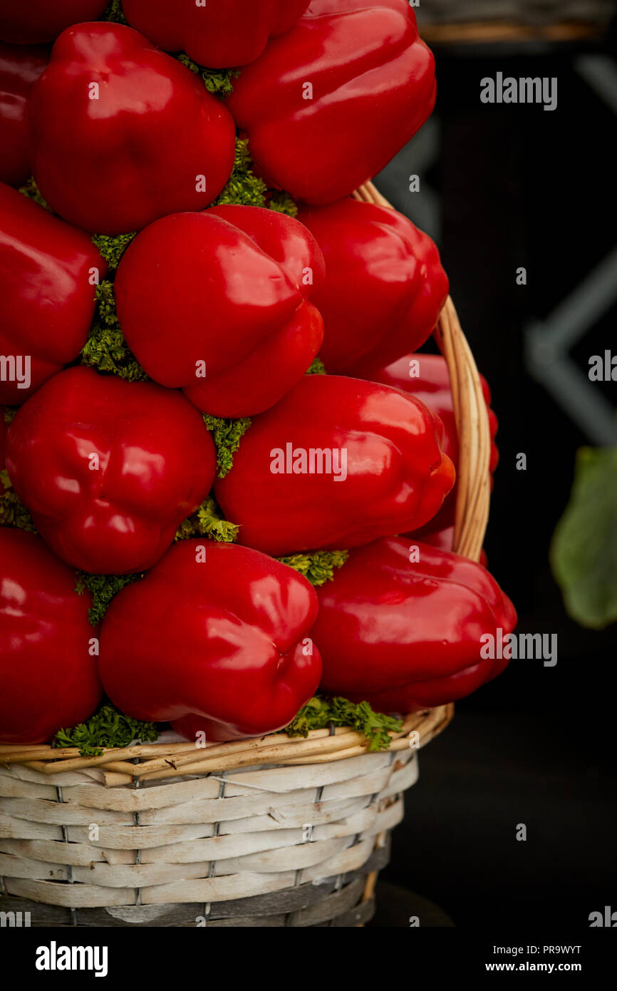 Sweet Pepper - californiano meraviglia Tatton Park Flower Show 2018 Foto Stock