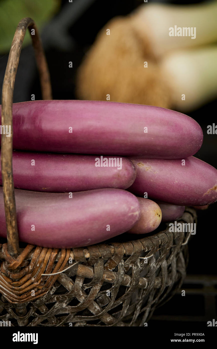 Aubergine - gli agricoltori a lungo presso il Parco Tatton, Flower Show 2018 Foto Stock