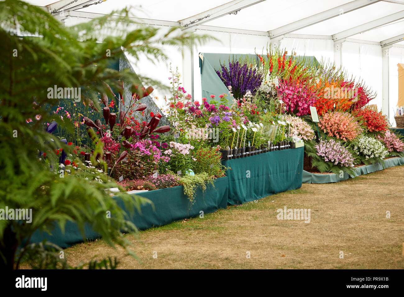 Stand al Tatton Park Flower Show 2018 Foto Stock
