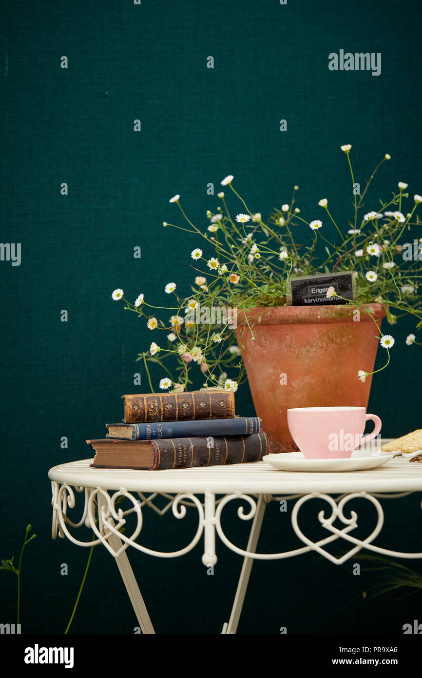 Prenota display all Tatton Park flower show Foto Stock