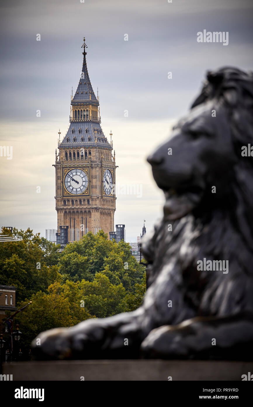 Landmark Trafalgar Square lions City of Westminster incorniciato dal Big Ben clocktower a Londra la città capitale d'Inghilterra Foto Stock