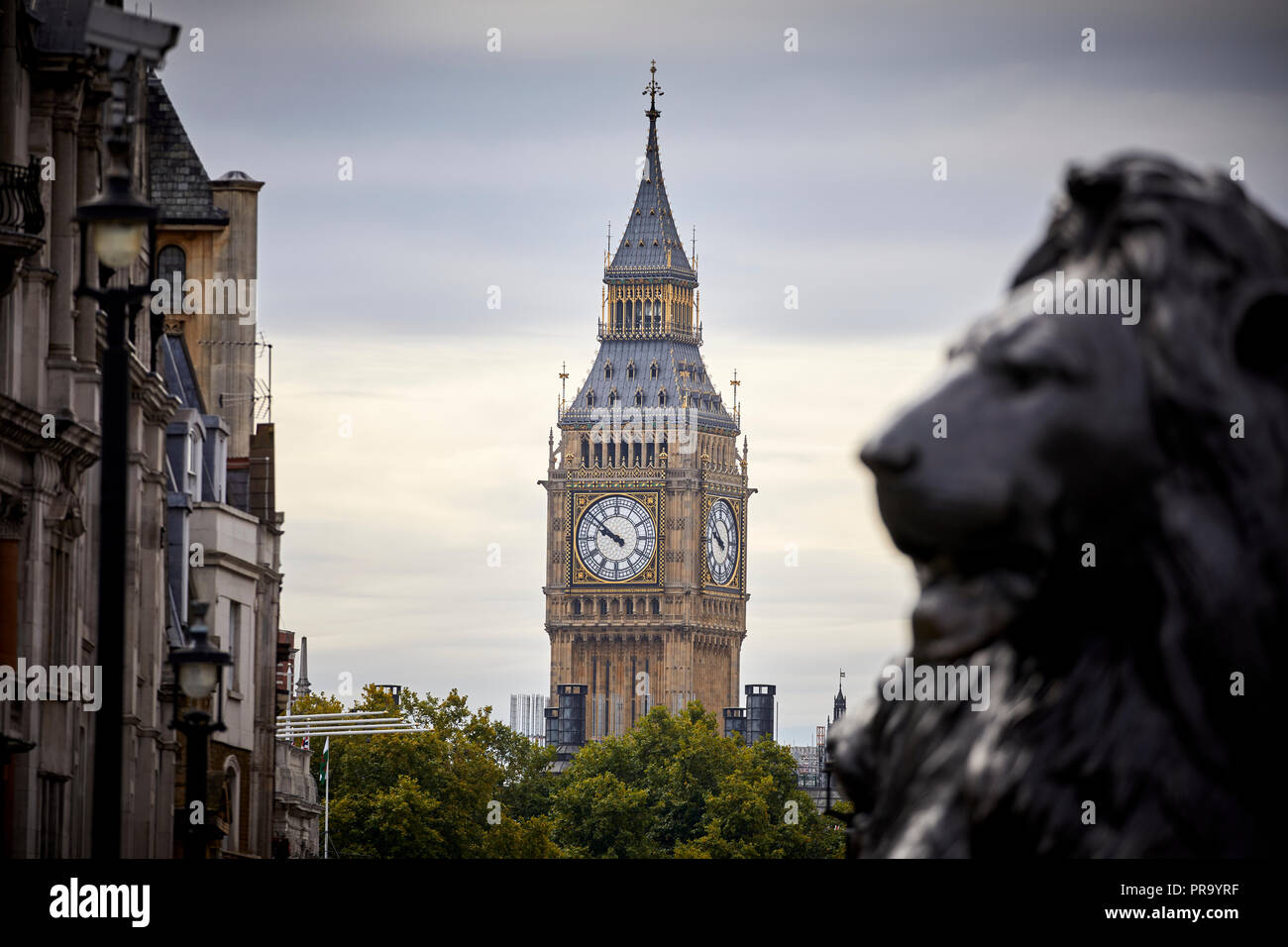 Landmark Trafalgar Square lions City of Westminster incorniciato dal Big Ben clocktower a Londra la città capitale d'Inghilterra Foto Stock
