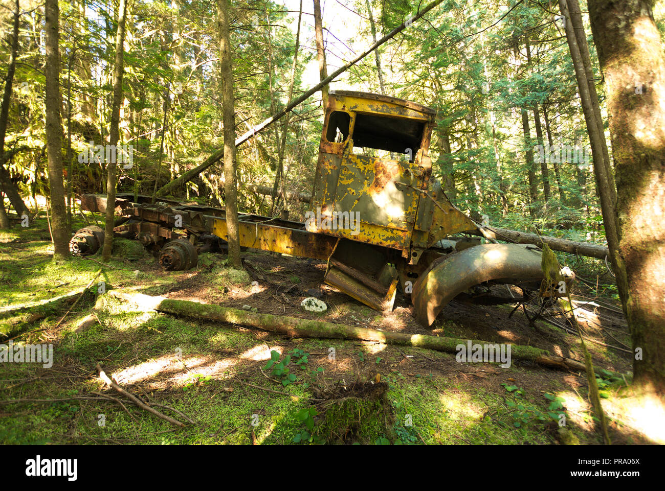 Camion di tronchi scartato a Stave Lake, Mission, British Columbia, Canada Foto Stock