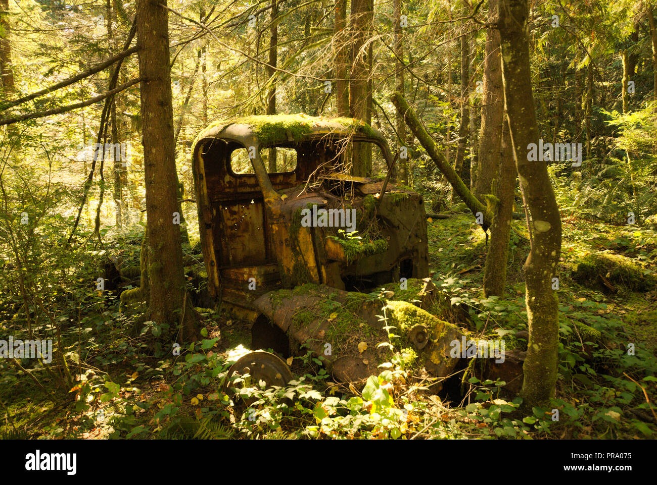 Camion di tronchi scartato a Stave Lake, Mission, British Columbia, Canada Foto Stock