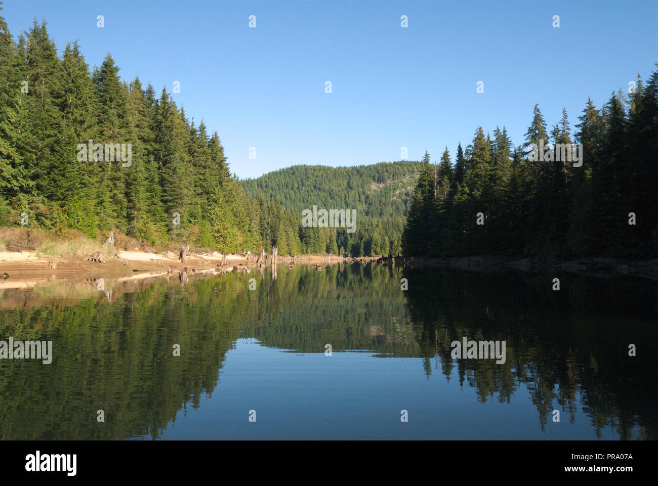 Riflessioni a Stave Lake in Missione, Columbia Britannica, Canada Foto Stock