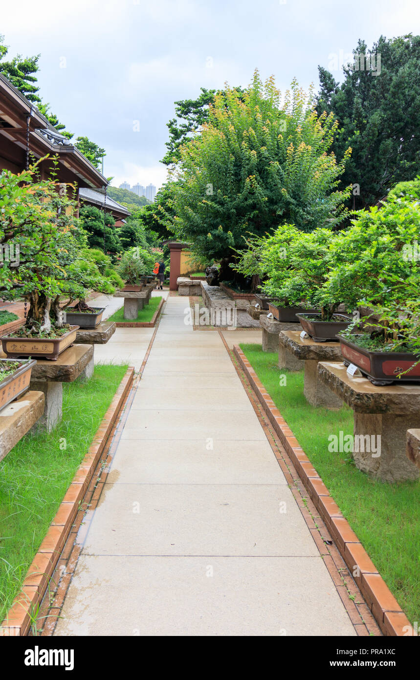 Giardino Nan Lian Foto Stock
