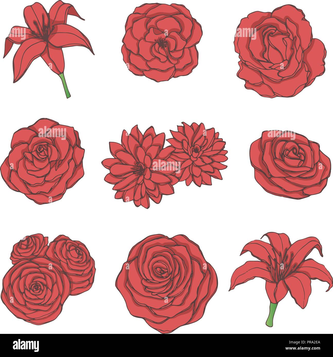Disegnata a mano vector set di Red Rose, giglio, peonia e fiori di crisantemo line art isolato su uno sfondo bianco. Vintage elementi floreali per vostro d Illustrazione Vettoriale