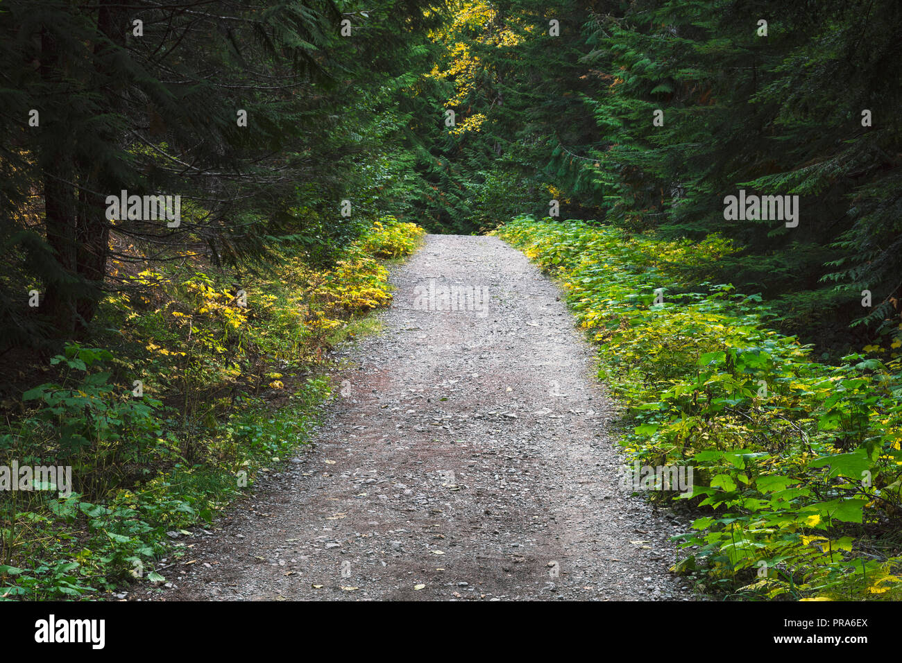 Il pittoresco paesaggio di laghi Foliatile Trail in Whistler BC Canada. Foto Stock