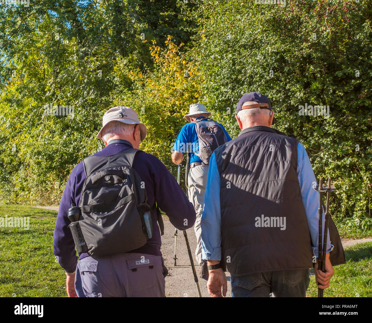 Tre,uomini,Walkers,Ramblers,Alzaia,paese camminando Foto Stock