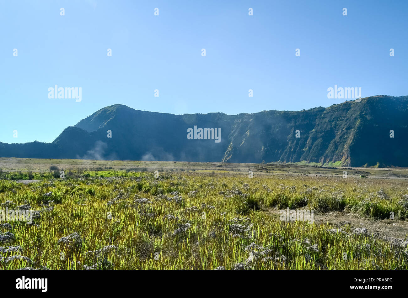Vista del paesaggio di Bromo di Savannah, Bromo montagna, Bromo Tengger Semeru National Park, East Java, Indonesia Foto Stock