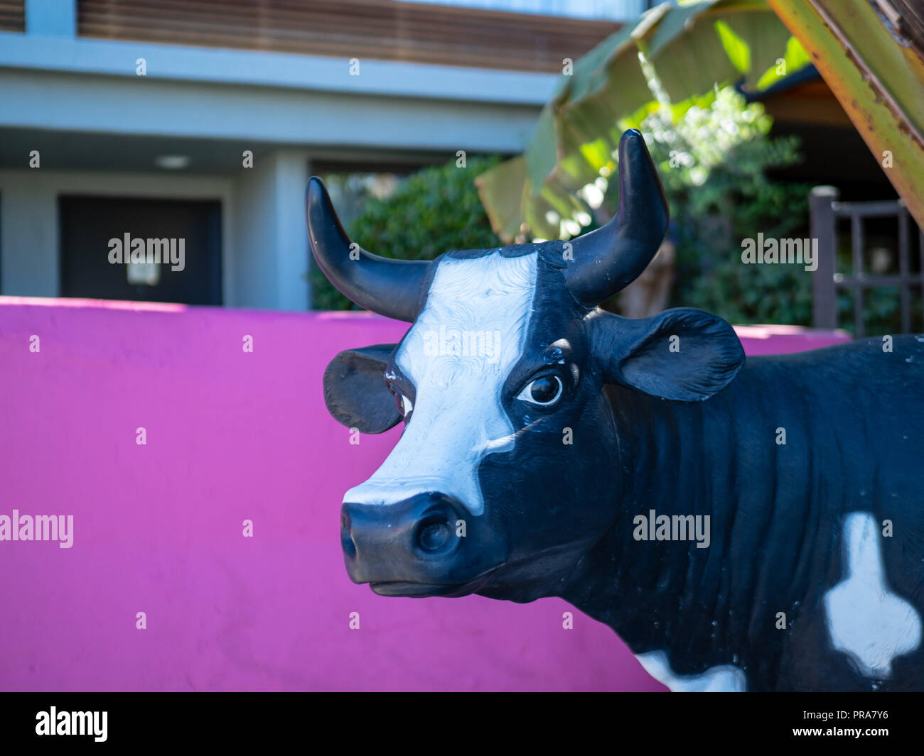 In prossimità di una testa di mucca statua in un ambiente esterno Foto Stock