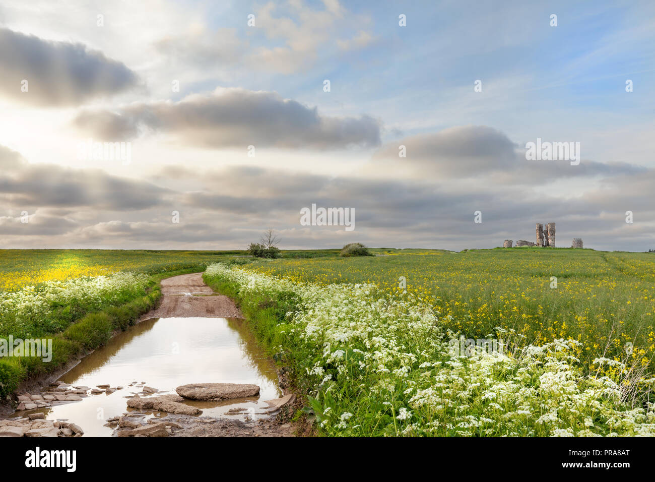 Rotto allagata strada che conduce nel paesaggio rurale con il fiore fiori e una chiesa in rovina la distanza Foto Stock