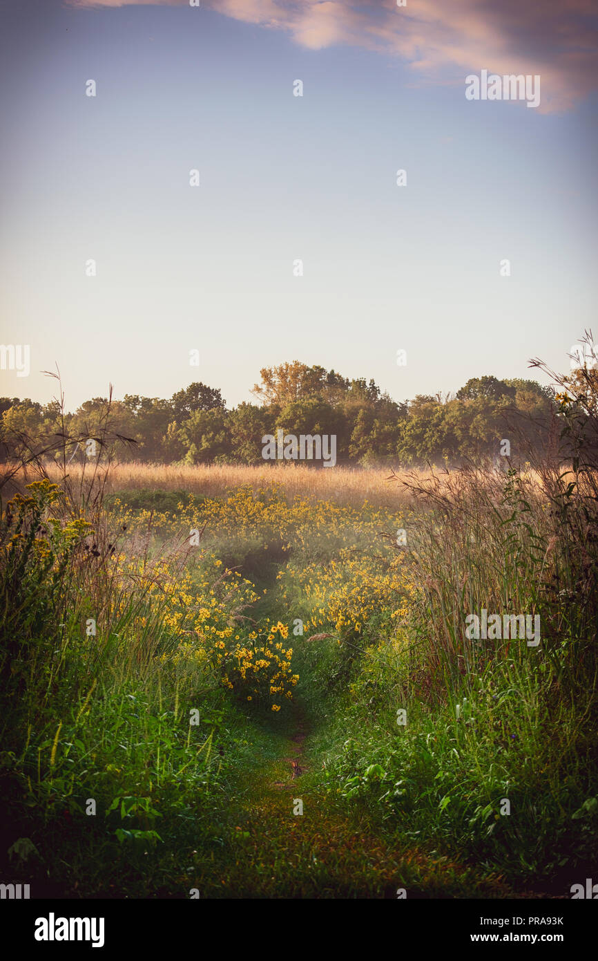 Iron Horse Post presso il Disney's Port Orleans - Riverside Foto Stock