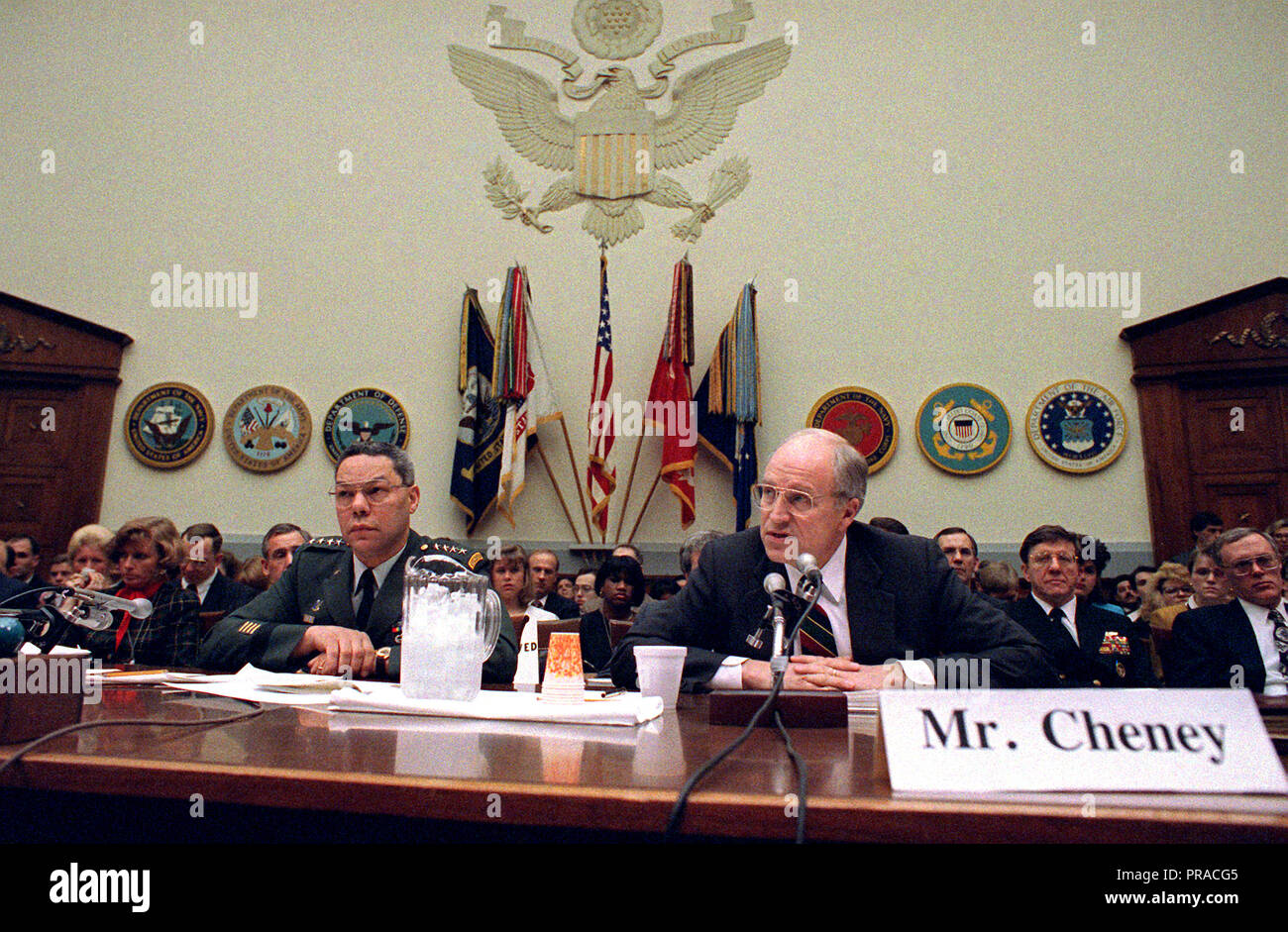 1992 - Il Segretario della Difesa Richard B. Cheney e General Colin Powell testimoniare prima casa servizi armati Comitato per quanto riguarda FY-93 bilancio della difesa. Foto Stock