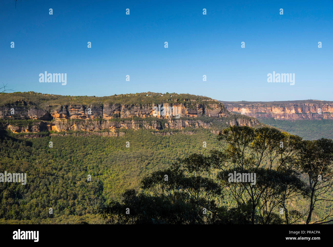 Famoso affioramento nelle Blue Mountains, Sydney, Nuovo Galles del Sud Foto Stock
