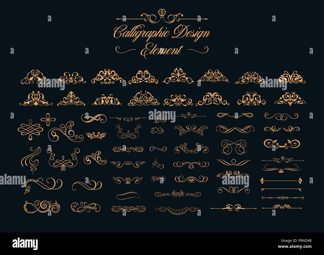 Calligrafica elementi di design Illustrazione Vettoriale