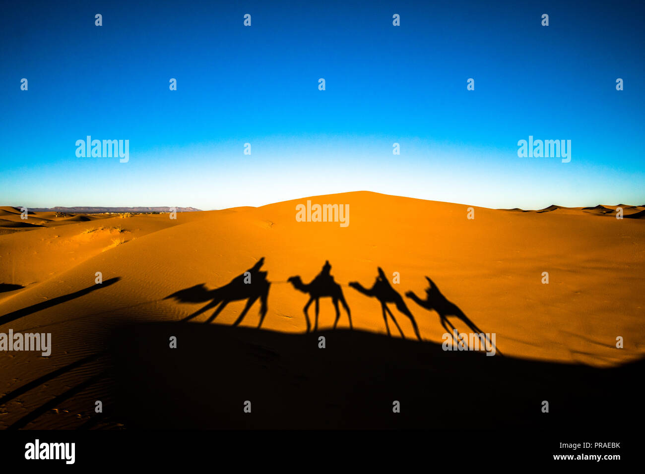 Ampia angolazione di persone a cavallo di cammelli in carovana sulle dune di sabbia nel deserto del Sahara con le ombre del cammello su una spiaggia di sabbia Foto Stock