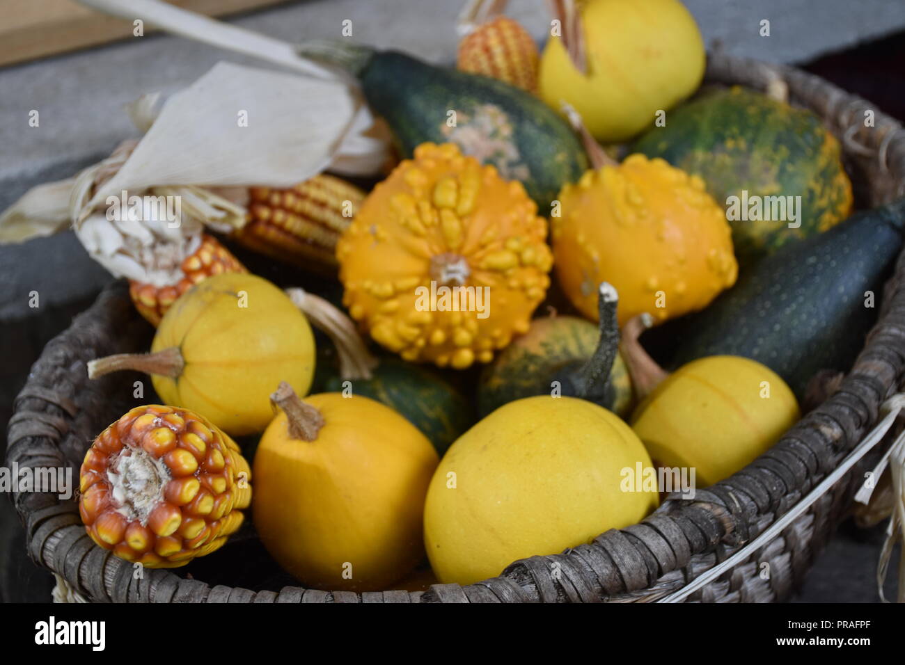 Colori di autunno Foto Stock