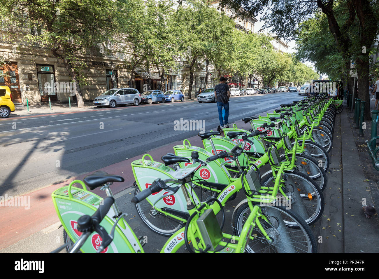 MOL Bubi e noleggiare biciclette su Andrássy út o Andrássy Avenue a Budapest Foto Stock