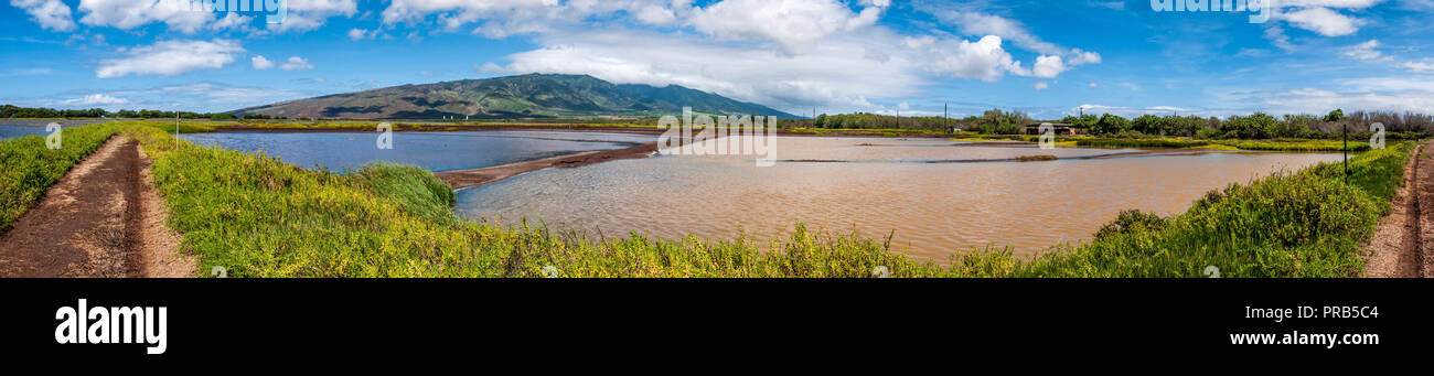 Kealia Pond National Wildlife Refuge - Isola di Maui, Hawaii, Stati Uniti. Foto Stock
