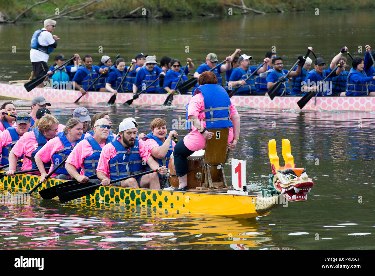 Gara di Dragon Boat, Pittsburgh Dragonboat Festival 2018, Pittsburgh, Pennsylvania, STATI UNITI D'AMERICA Foto Stock