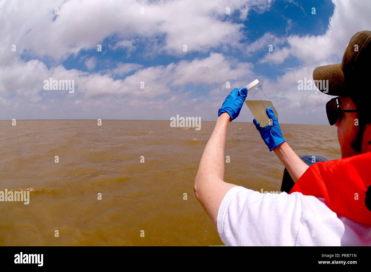 EPA contracter prendendo un campione di acqua nel Golfo del Messico dopo il 2010 BP fuoriuscite di olio Foto Stock