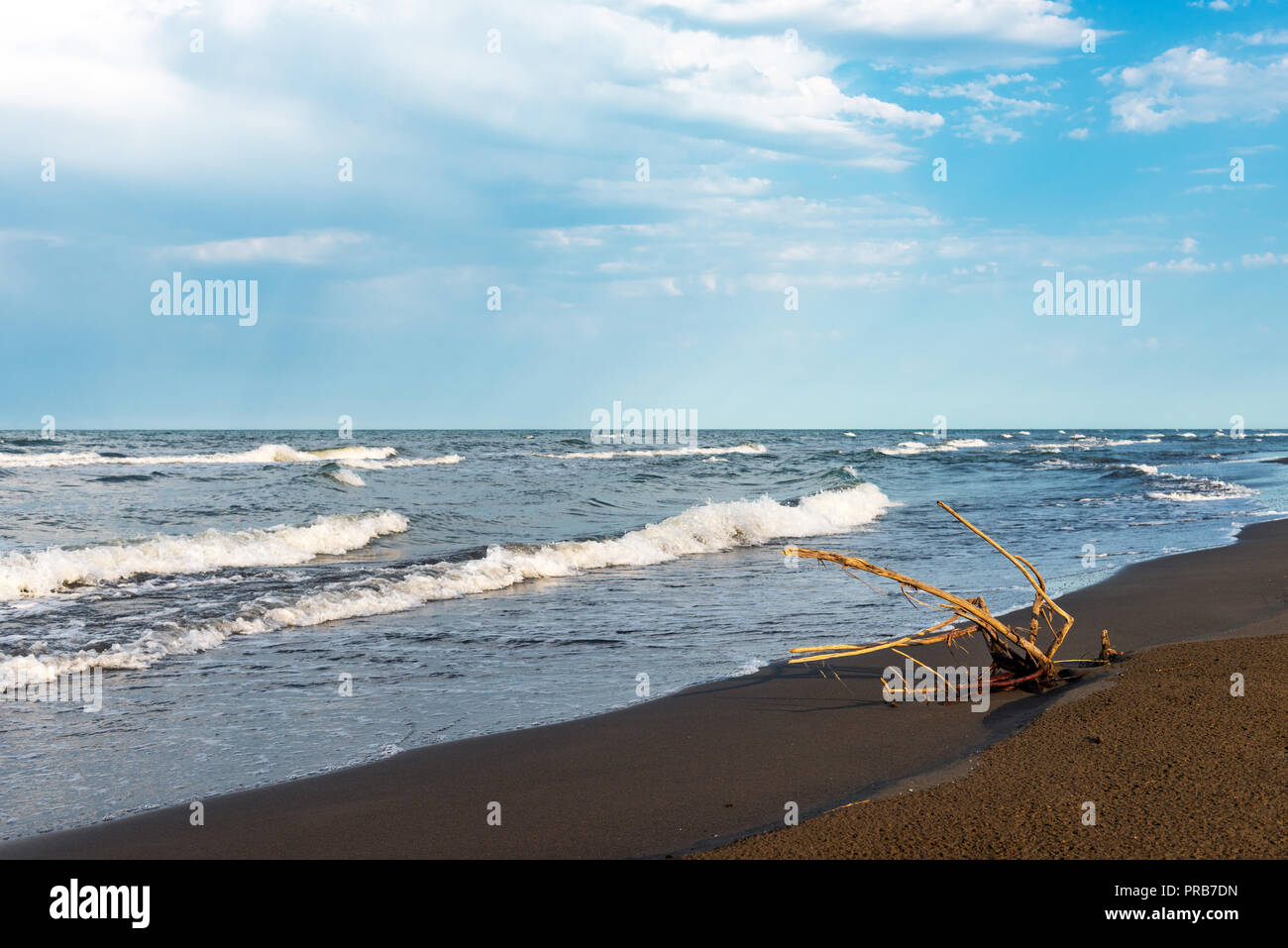 Vecchio intoppo sulla costa del mare su un tempo nuvoloso Foto Stock