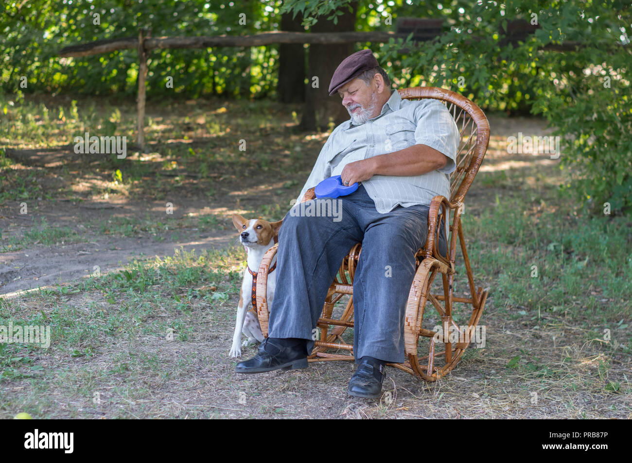Carino basenji cane in attesa fino a quando il senior master resto in vimini sedia a dondolo e giocare con il suo cane Foto Stock