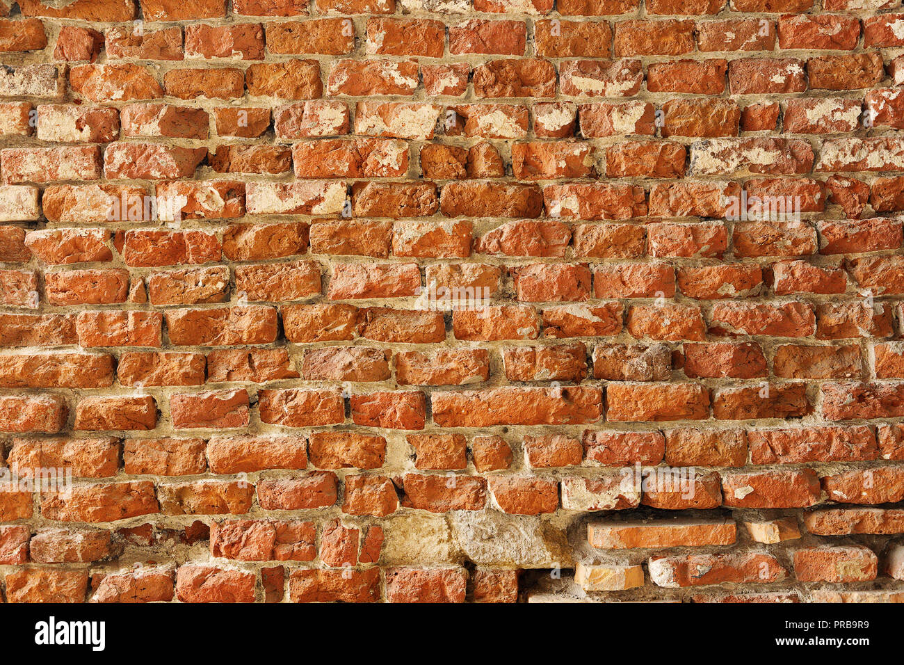 Texture reali di vecchi incrinato un muro di mattoni pronto per il tuo design Foto Stock