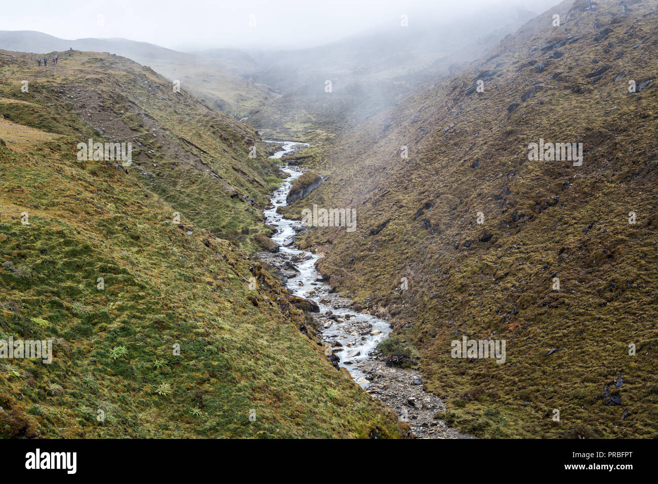 Piccolo fiume sul modo di Nyile La pass, Thimphu distretto, Snowman Trek, Bhutan Foto Stock